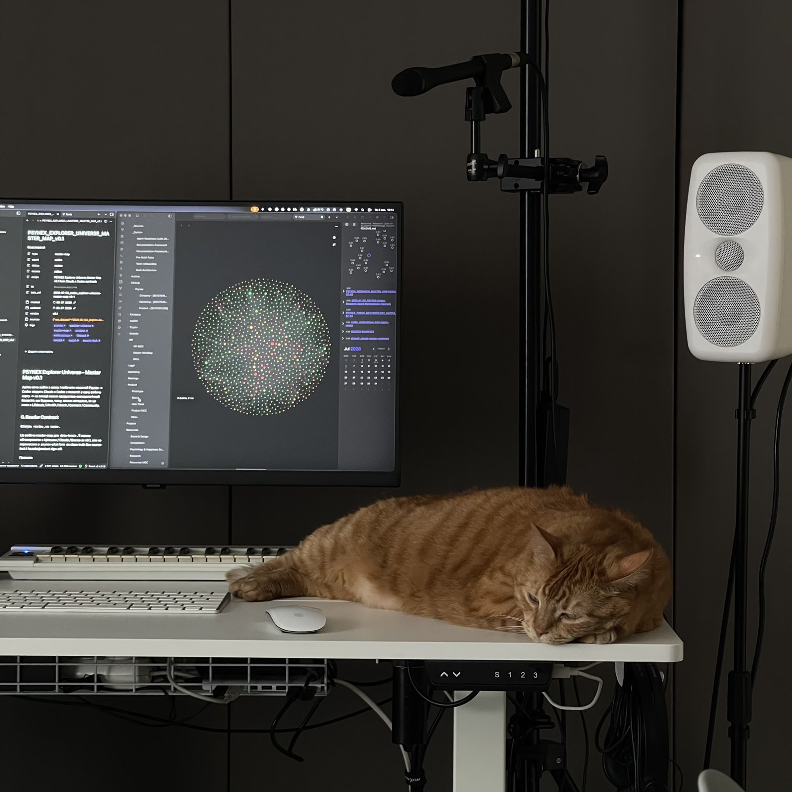 Sphere visualisation on a monitor, a cat asleep on the desk